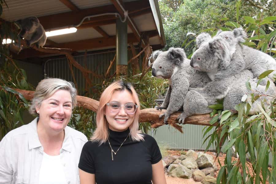 Sydney: Featherdale Wildlife Park Private Tour - Feeding and Koala Photo Add-Ons: What’s Included vs. What’s Optional