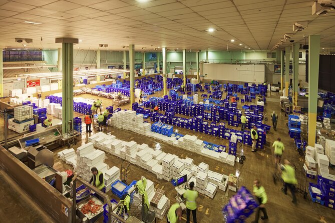 Sydney Fish Market Behind the Scenes Tour - Key moments on the Sydney Fish Market tour