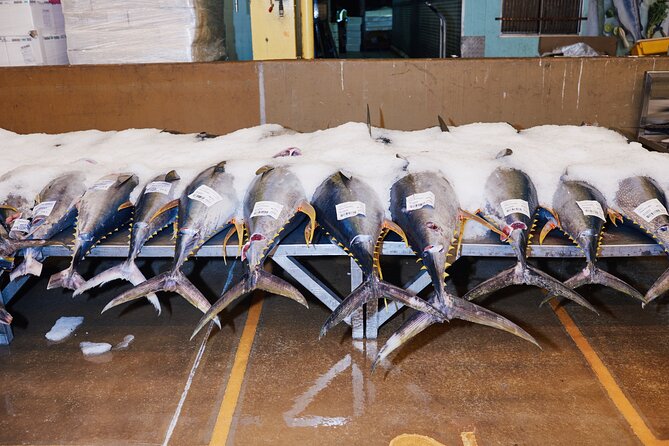 Sydney Fish Market Behind the Scenes Tour - First steps at 1 Bridge Road: early check-in and quick orientation