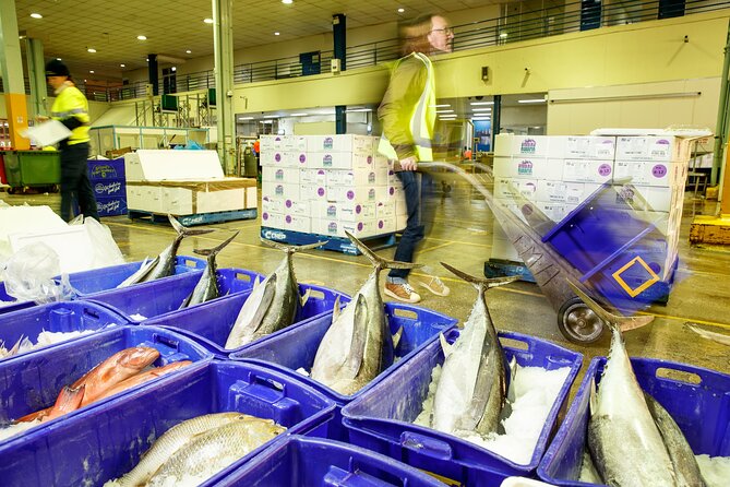 Sydney Fish Market Behind the Scenes Tour - Safety footwear rules you’ll follow (and why they’re strict)