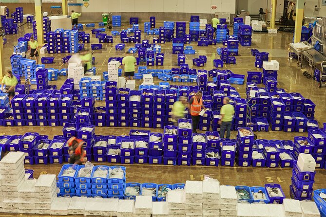 Sydney Fish Market Behind the Scenes Tour - Quality checks and what buyers are really paying for
