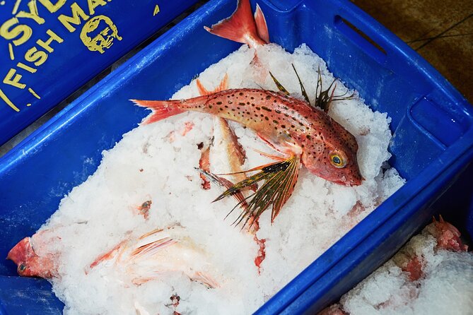 Sydney Fish Market Behind the Scenes Tour - Price and value: what $57.38 gets you for a premium morning