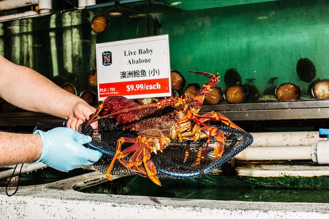 Sydney Fish Market Discovery Tour - The New Building’s Design Details (and Why They Matter)