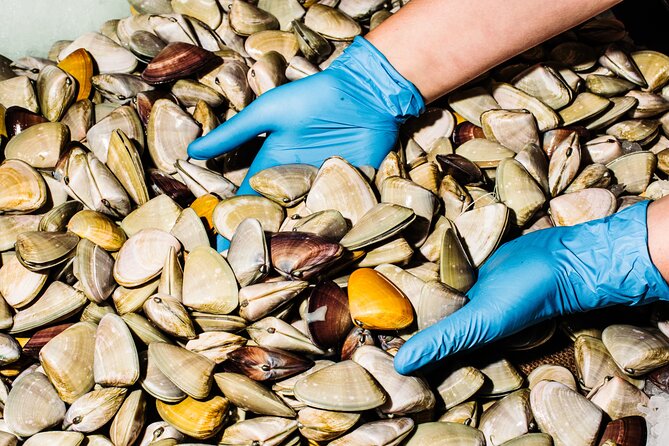 Sydney Fish Market Discovery Tour - Duration, Group Size, and Timing: Plan This Like a Short Skill Lesson