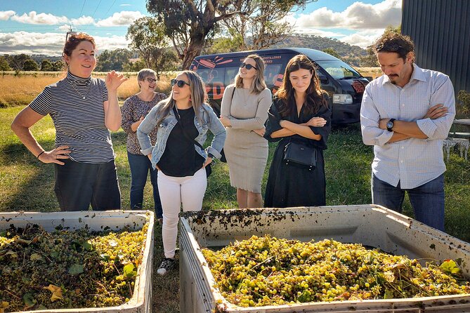 Sydney Grains and Grapes Hunter Valley Wine and Beer with Lunch - Key things to look forward to