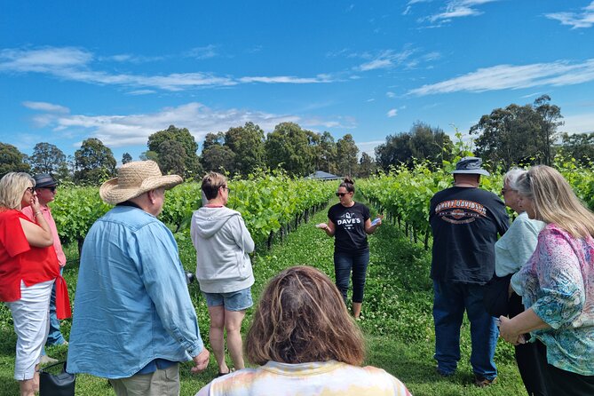 Sydney Grains and Grapes Hunter Valley Wine and Beer with Lunch - Price and value: what you’re really paying for at $161.38
