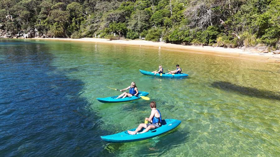 Sydney: Guided Kayak Taster Tour from Manly - Manly Yacht Club Start: Where the session clicks into place
