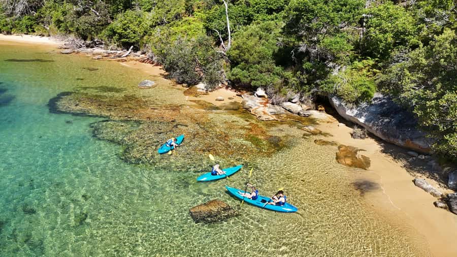 Sydney: Guided Kayak Taster Tour from Manly - The 10-minute safety briefing that saves your energy