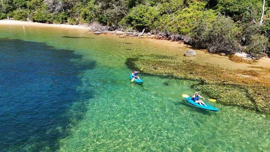 Sydney: Guided Kayak Taster Tour from Manly - Store Beach and the “you can actually relax” hour