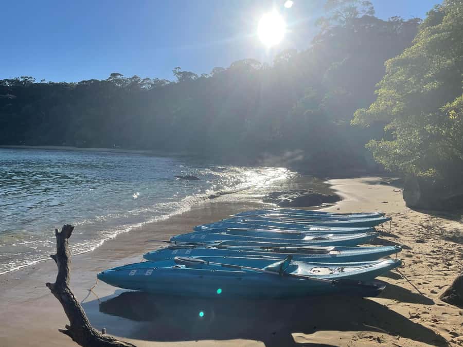 Sydney: Guided Kayak Taster Tour from Manly - The return plan: lift, tow, and an easier finish
