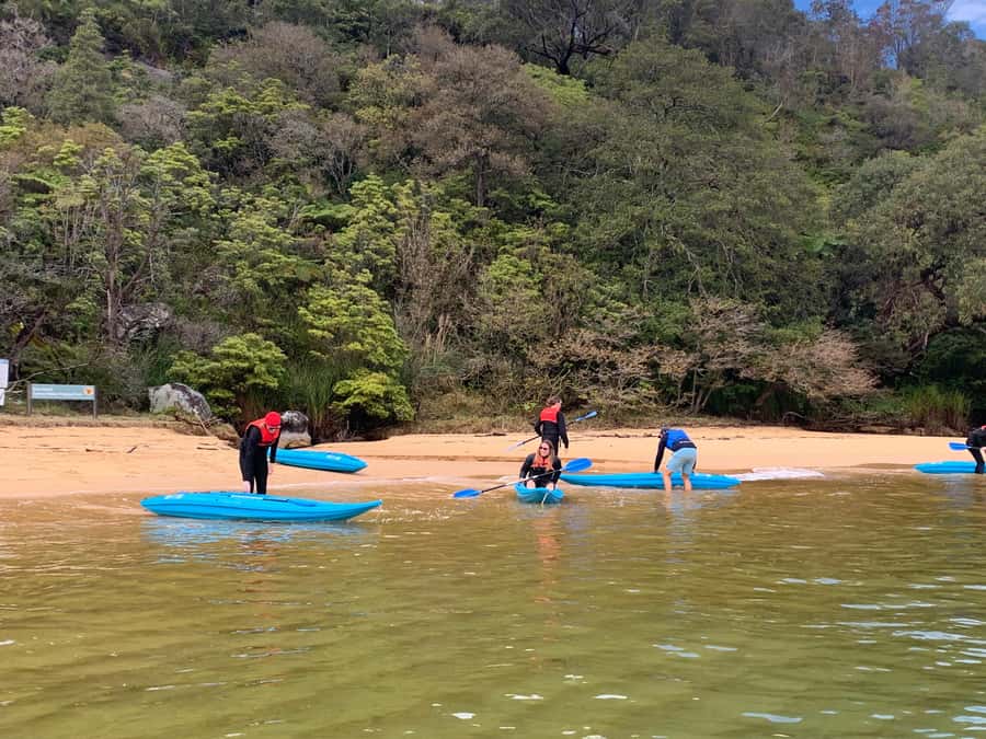 Sydney: Guided Kayak Taster Tour from Manly - Price and value: $46 for a short, high-view experience