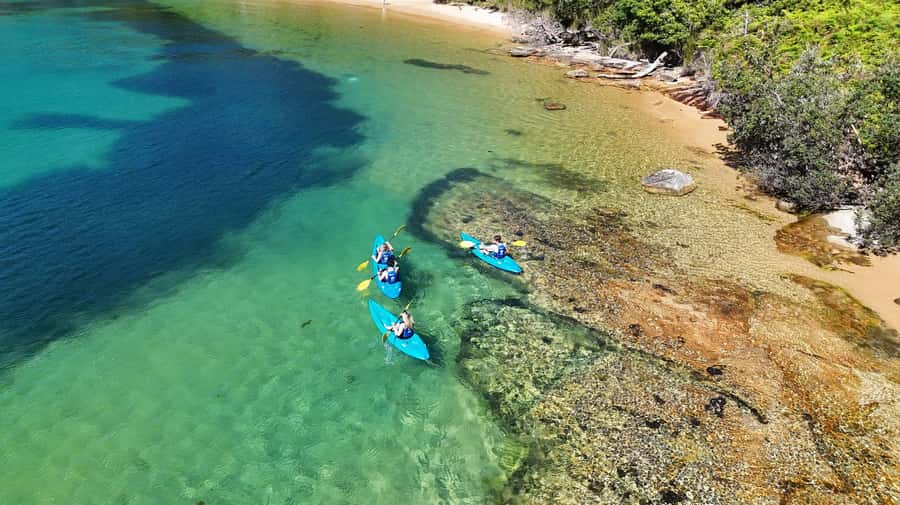 Sydney: Guided Kayak Taster Tour from Manly - Comfort tips so you don’t spend your beach hour worrying