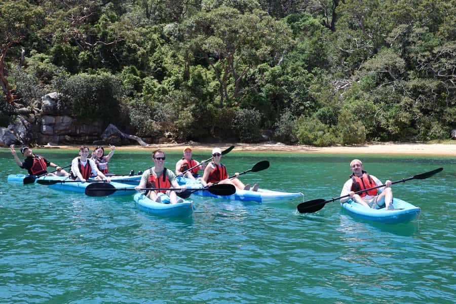 Sydney: Guided Kayak Taster Tour from Manly - Should you book this guided kayak taster from Manly?