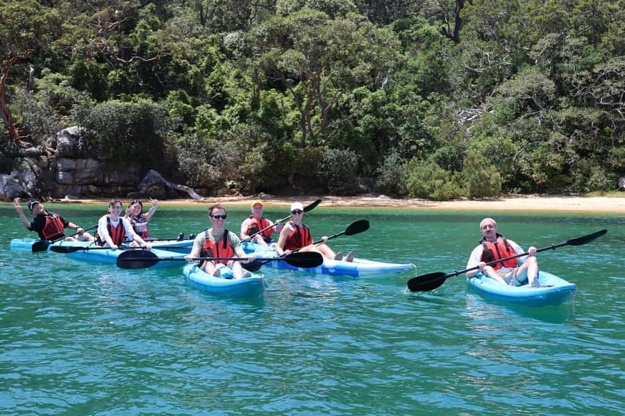 Sydney: Guided Kayak Tour of Manly Cove Beaches - Key Points Before You Paddle