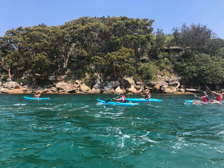 Sydney: Guided Kayak Tour of Manly Cove Beaches - Single vs Double Kayaks: choose comfort and control