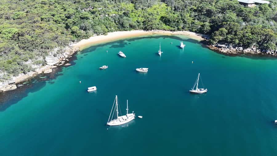 Sydney: Guided Kayak Tour of Manly Cove Beaches - Who this tour fits best (and who should skip it)