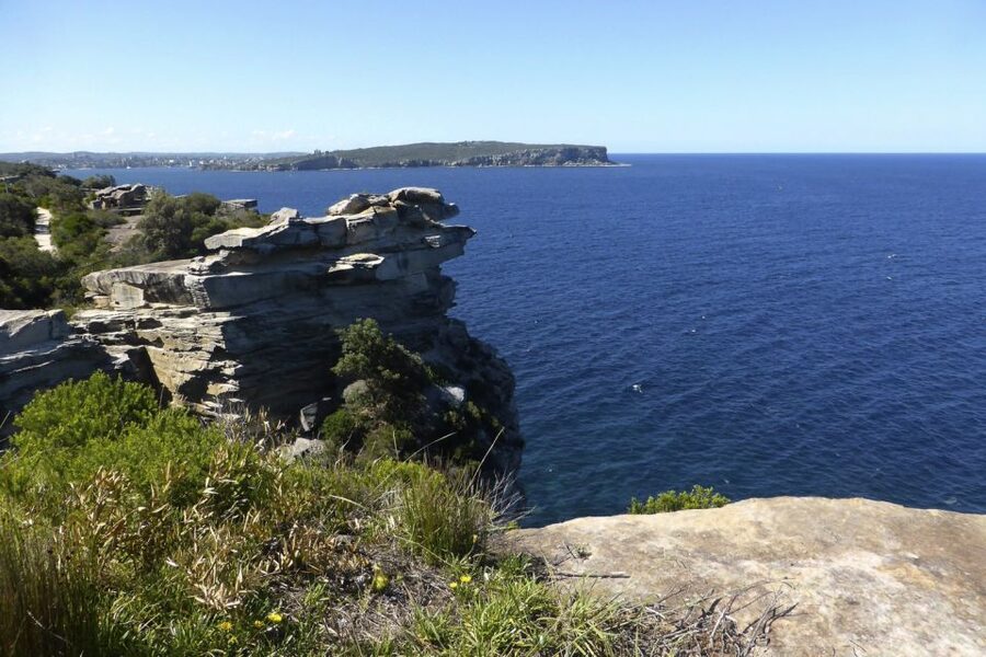 Sydney: Half-Day City Tour - Harbour suburbs drive: Rushcutters Bay, Double Bay, Point Piper, and Rose Bay