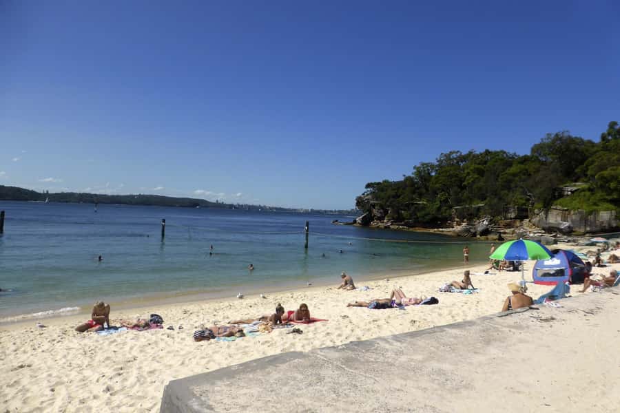 Sydney: Half-Day City Tour - Vaucluse, Shark Beach, Watsons Bay, and Camp Cove: coastal lookouts with bite