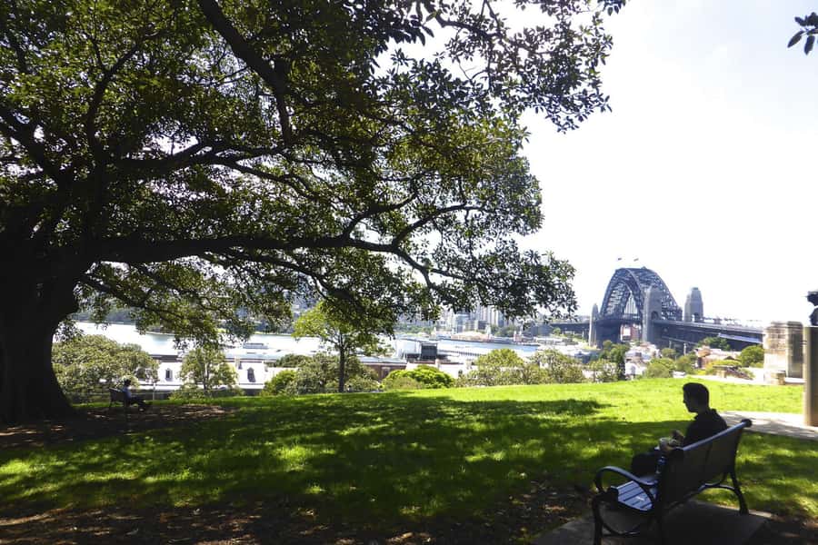 Sydney: Half-Day City Tour - The Gap and Dover Heights: when the harbour meets the ocean