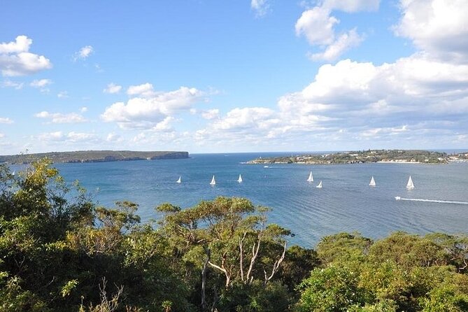 Sydney Half Day Private Tour - Who This Tour Suits Best (and Who Should Skip It)