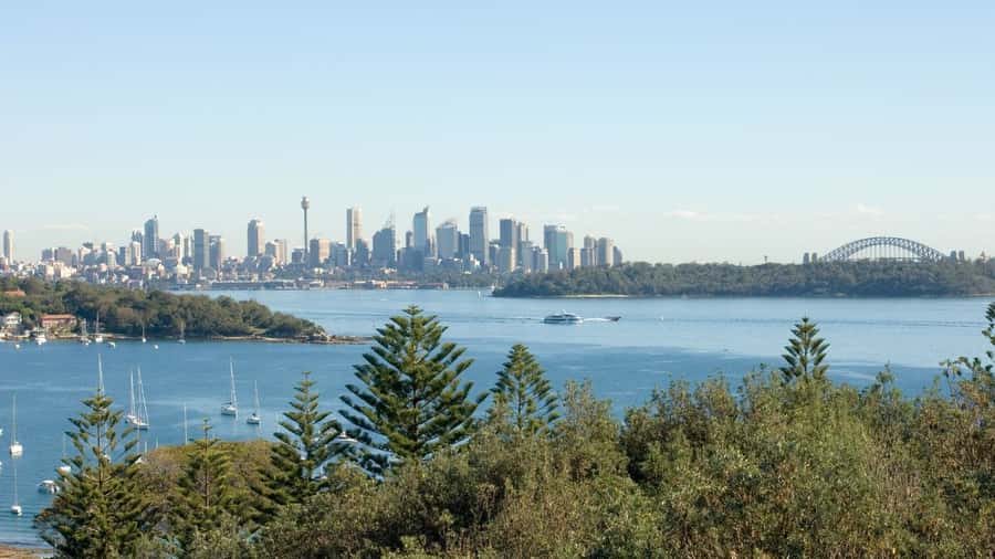 Sydney: Half-Day Private Tour of Sydney's Northern Beaches - Palm Beach and Summer Bay: beaches, surf, and a quick ocean option