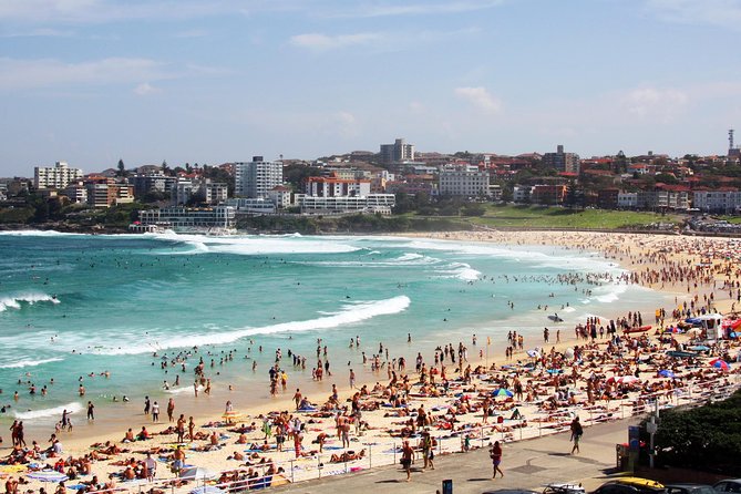 Sydney Half Day Private Tour: See Sydney Opera House and Bondi - Mrs Macquarie’s Chair: The Photo Spot With a Story