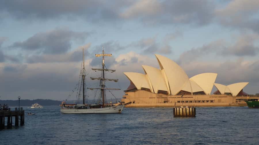 Sydney: Harbor Sunset Cruise with Dinner - Where to meet: Campbell’s Cove Jetty near The Rocks