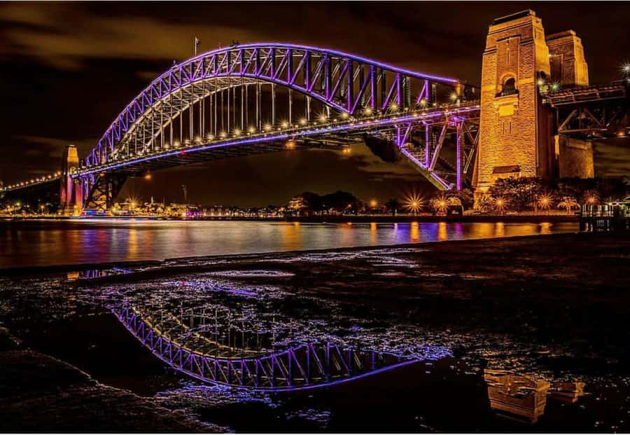 Sydney Harbour: 30 Minute Slow Jet Boat Vivid Cruise - Photo tips for a 360-degree night cruise