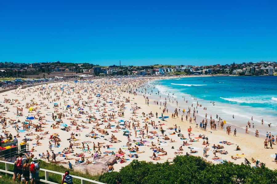 Sydney Harbour & Bondi: Morning Highlights with Breakfast - Why this Sydney morning works better than hopping around on your own