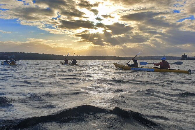 Sydney Harbour Bridge Kayak & Breakfast Tour - Getting to Quibaree Park and keeping the morning easy