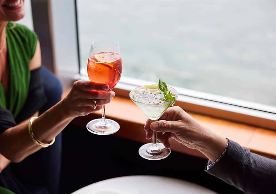 Sydney: Harbour Cruise with Charcuterie Board & Drinks - Drinks Included: House Beverage Choices and the Cocktail Option Welcome