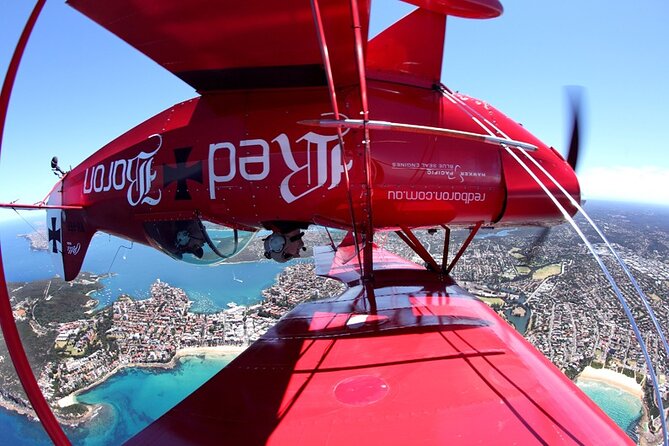 Sydney Harbour Joy Flight in the Pitts Special - Should You Book the Sydney Harbour Joy Flight in the Pitts Special?
