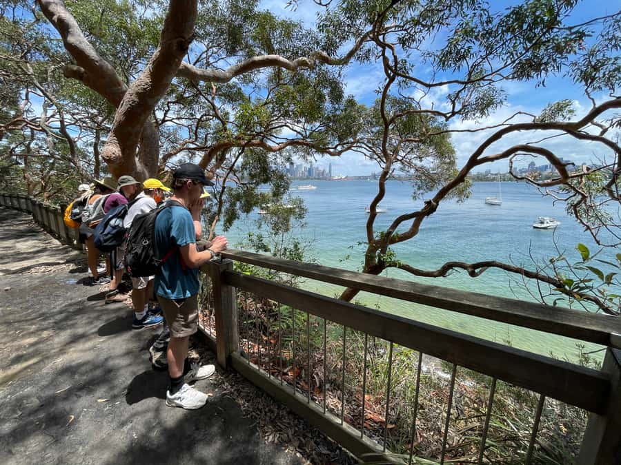 Sydney Harbour National Park 2-Hour Walking Tour - A Two-Hour Walk That’s Actually Built for Your Day