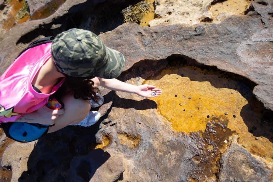 Sydney Harbour National Park 2-Hour Walking Tour - Sydney Harbour National Park: Red Gum Shade and Coastline Views