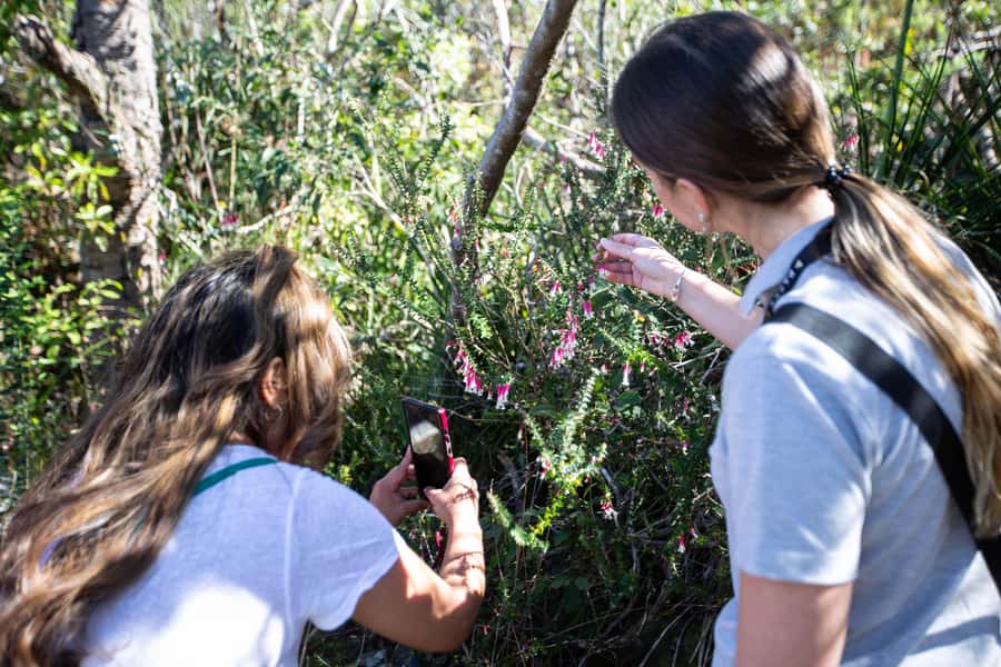Sydney Harbour National Park 2-Hour Walking Tour - What’s Included—and What You’ll Need to Bring
