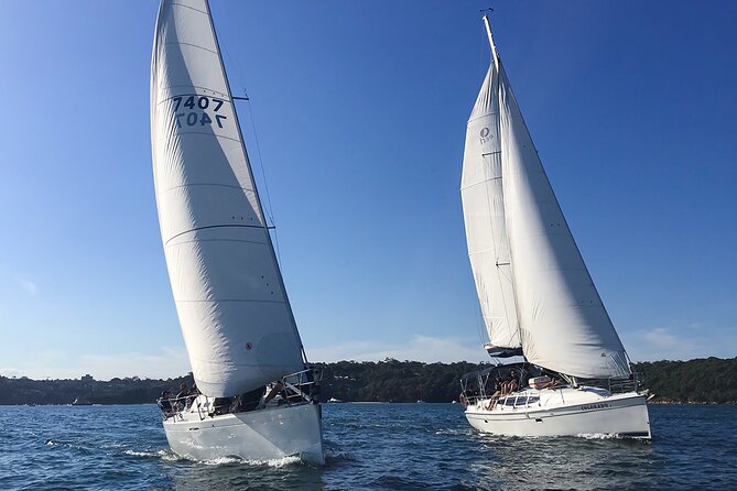 Sydney Harbour Sailing Experience - Luna Park and the harbor stretch: seeing Sydney as a coastline, not a skyline