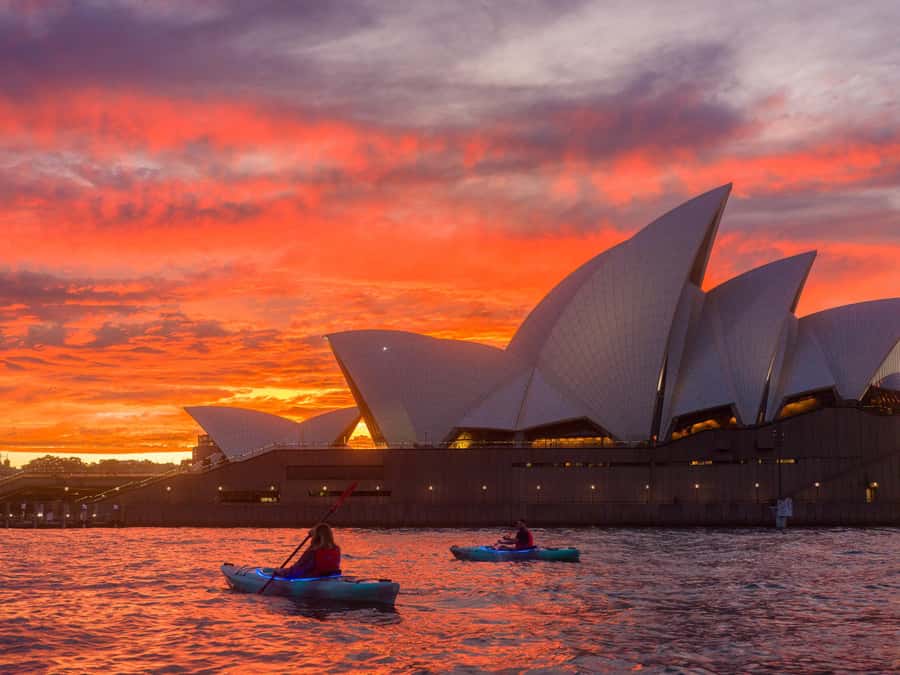 Sydney: Harbour Sunrise Kayak Tour - Coffee and croissant at Navy Bear Cafe (with Bridge views)