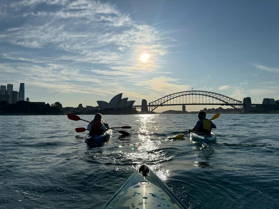 Sydney: Harbour Sunrise Kayak Tour - Price and what you’re really paying for (A$119 per person)