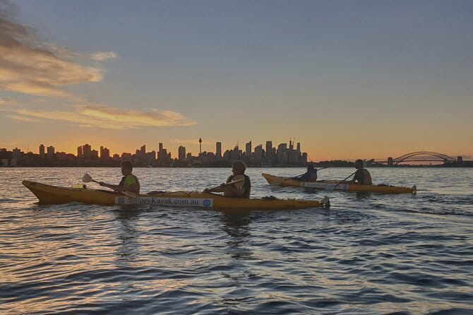 Sydney Harbour Sunset Dinner Paddle - Why this sunset paddle feels different from standard sightseeing