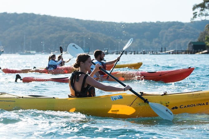 Sydney Harbour Sunset Dinner Paddle - Who should book this sunset dinner paddle