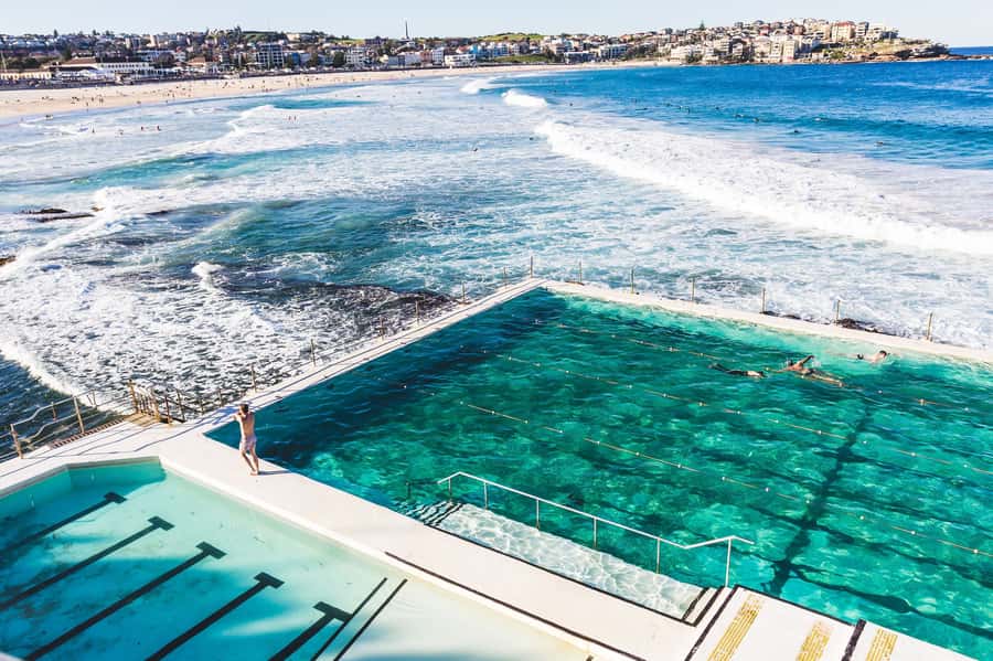 Sydney Harbour to Bondi: Small Group Half–Day Experience - Highlights that feel real, not just on a brochure
