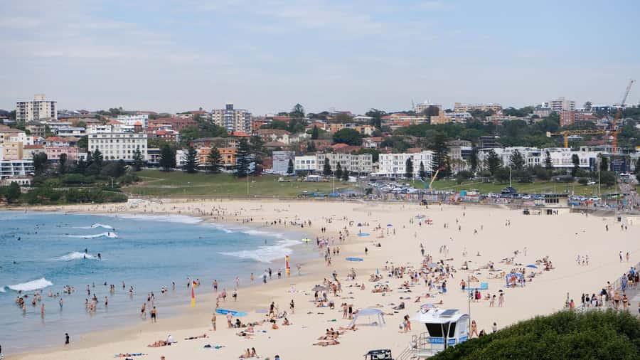 Sydney Harbour to Bondi: Small Group Half–Day Experience - Bondi Beach: beachfront promenade time and coastal cliff-walk energy