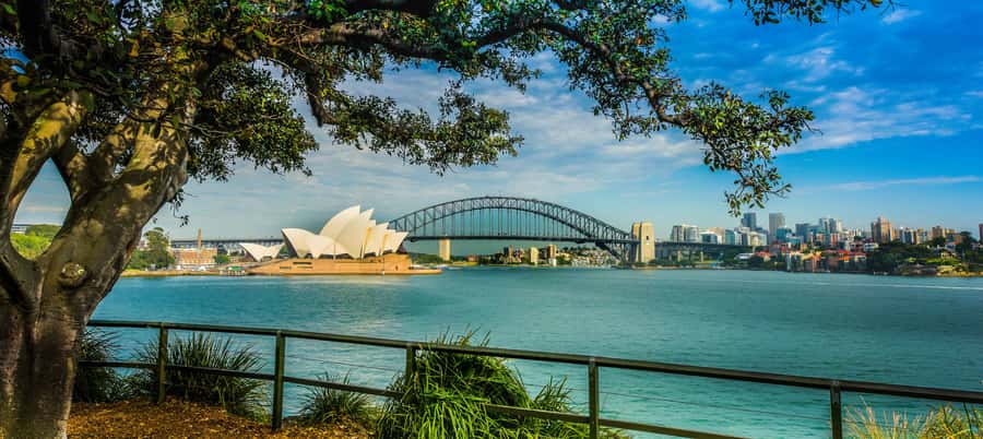 Sydney Harbour to Bondi: Small Group Half–Day Experience - From hotel pickup to The Rocks: convict-era streets and harbor views