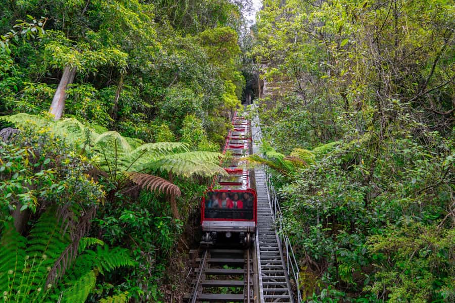 Sydney: Heritage Zig Zag Steam Train and Blue Mountains Tour - Katoomba Lunch Hour: One Hour to Eat, Reset, and Plan Your Next Ride