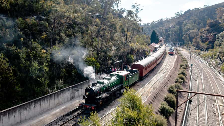 Sydney: Heritage Zig Zag Steam Train and Blue Mountains Tour - Who This Tour Suits Best (and Who Should Skip)