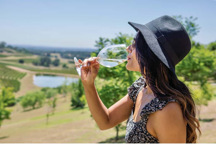 Sydney: Hunter Valley Wineries Day Trip with Food Tastings - A smooth Hunter Valley day trip that’s built for tasting