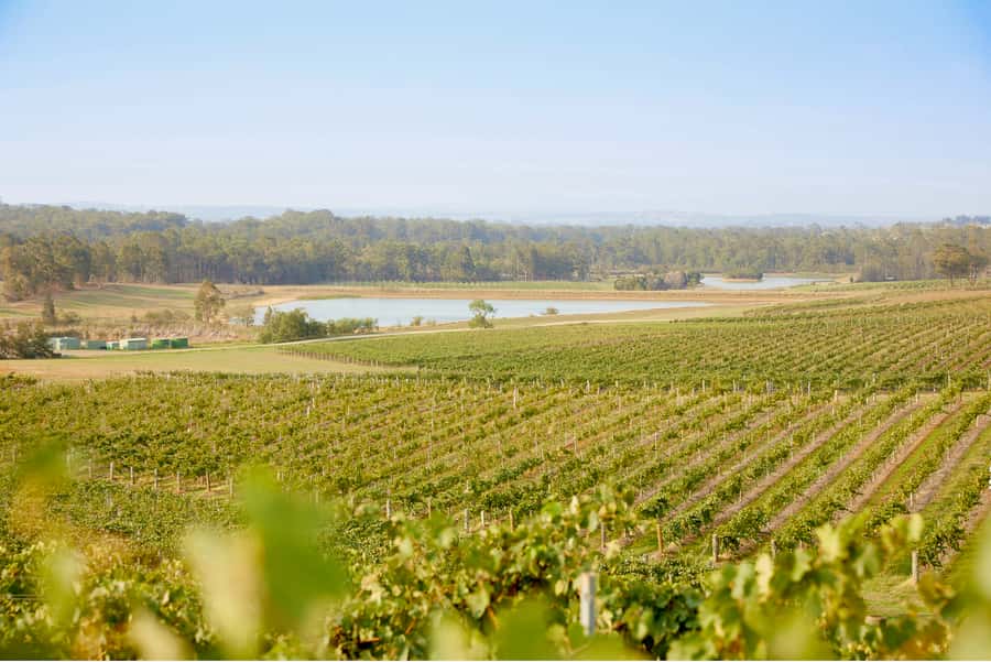 Sydney: Hunter Valley Wineries Day Trip with Food Tastings - Who this Hunter Valley day trip suits best