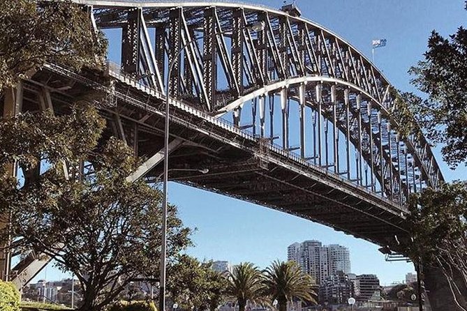 Sydney Icons & Bondi Half Day Private Tour - Key highlights worth planning around