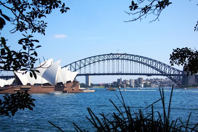 Sydney Icons & Bondi Half Day Private Tour - Who this tour suits best (and who might want a different plan)