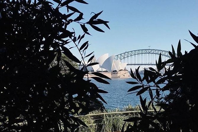 Sydney Icons & Bondi Half Day Private Tour - The price: what $650 per person is really buying